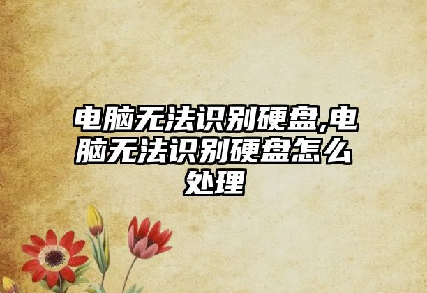電腦無(wú)法識(shí)別硬盤,電腦無(wú)法識(shí)別硬盤怎么處理
