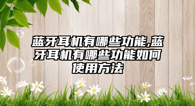 藍(lán)牙耳機(jī)有哪些功能,藍(lán)牙耳機(jī)有哪些功能如何使用方法