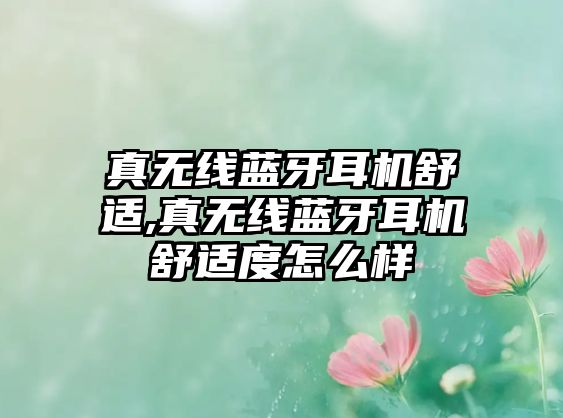 真無線藍(lán)牙耳機(jī)舒適,真無線藍(lán)牙耳機(jī)舒適度怎么樣