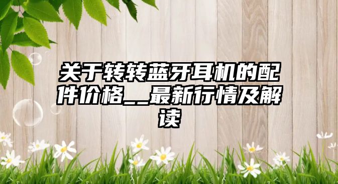 關(guān)于轉(zhuǎn)轉(zhuǎn)藍(lán)牙耳機(jī)的配件價(jià)格__最新行情及解讀
