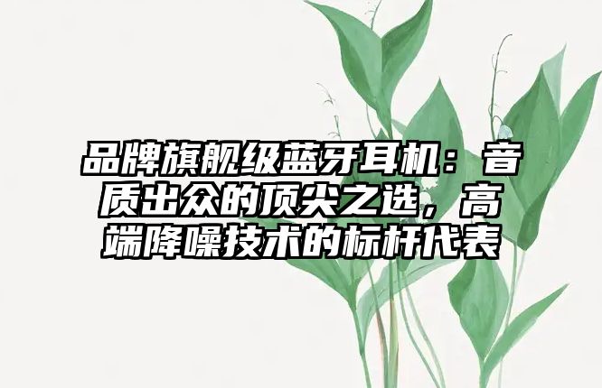 品牌旗艦級(jí)藍(lán)牙耳機(jī)：音質(zhì)出眾的頂尖之選，高端降噪技術(shù)的標(biāo)桿代表