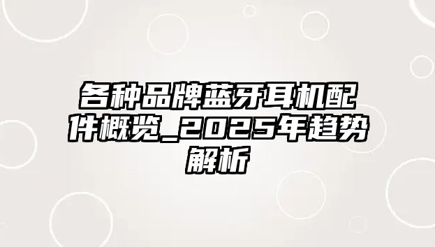 各種品牌藍(lán)牙耳機配件概覽_2025年趨勢解析