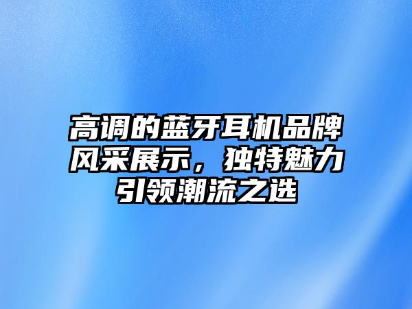 高調(diào)的藍牙耳機品牌風采展示，獨特魅力引領(lǐng)潮流之選