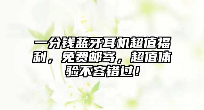 一分錢(qián)藍(lán)牙耳機(jī)超值福利，免費(fèi)郵寄，超值體驗(yàn)不容錯(cuò)過(guò)！