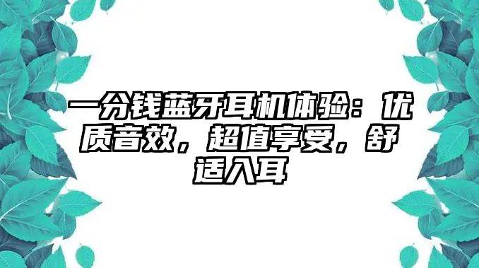 一分錢藍(lán)牙耳機(jī)體驗(yàn)：優(yōu)質(zhì)音效，超值享受，舒適入耳