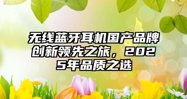 無(wú)線藍(lán)牙耳機(jī)國(guó)產(chǎn)品牌創(chuàng)新領(lǐng)先之旅，2025年品質(zhì)之選