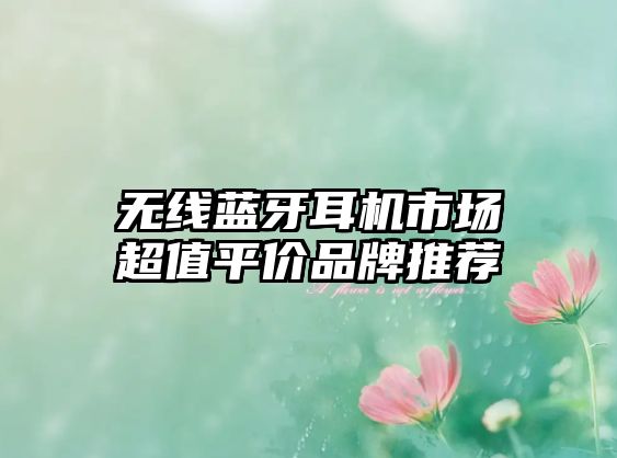 無線藍(lán)牙耳機(jī)市場超值平價(jià)品牌推薦