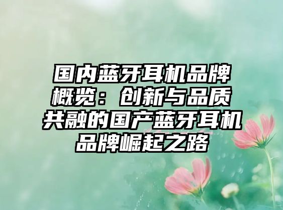 國內藍牙耳機品牌概覽：創(chuàng)新與品質共融的國產(chǎn)藍牙耳機品牌崛起之路