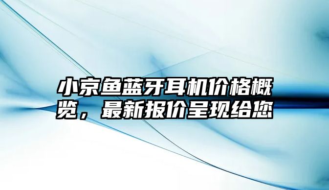小京魚(yú)藍(lán)牙耳機(jī)價(jià)格概覽,最新報(bào)價(jià)呈現(xiàn)給您